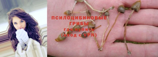 круглые Рославль
