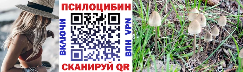 Галлюциногенные грибы GOLDEN TEACHER  ОМГ ОМГ рабочий сайт  Санкт-Петербург 