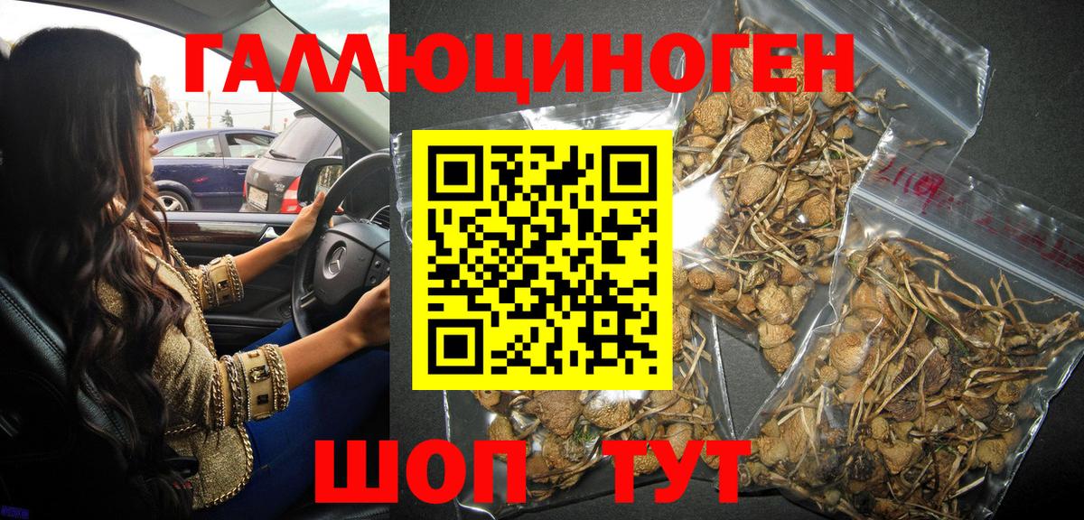 закладка  Галлюциногенные грибы Psilocybine cubensis  Вход с VPN  Галлюциногенные грибы Psilocybe  Санкт-Петербург 