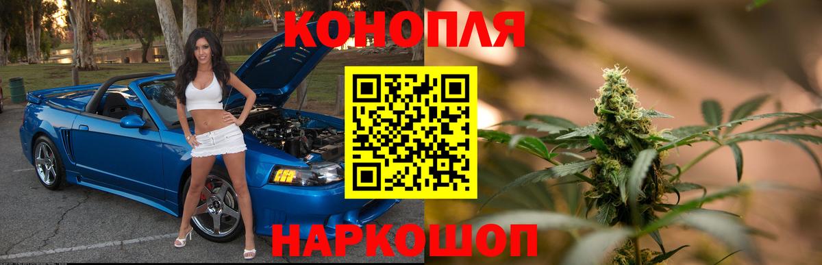 Конопля SATIVA & INDICA Санкт-Петербург